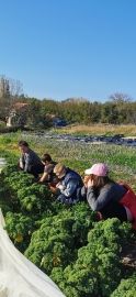 ferme des Marettes