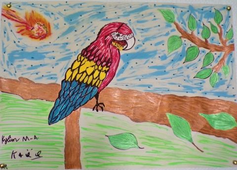 home vivarois dessin