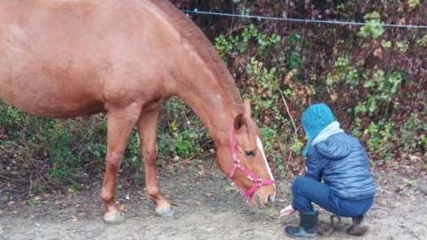 DITEP Pont Brillant atelier médiation
